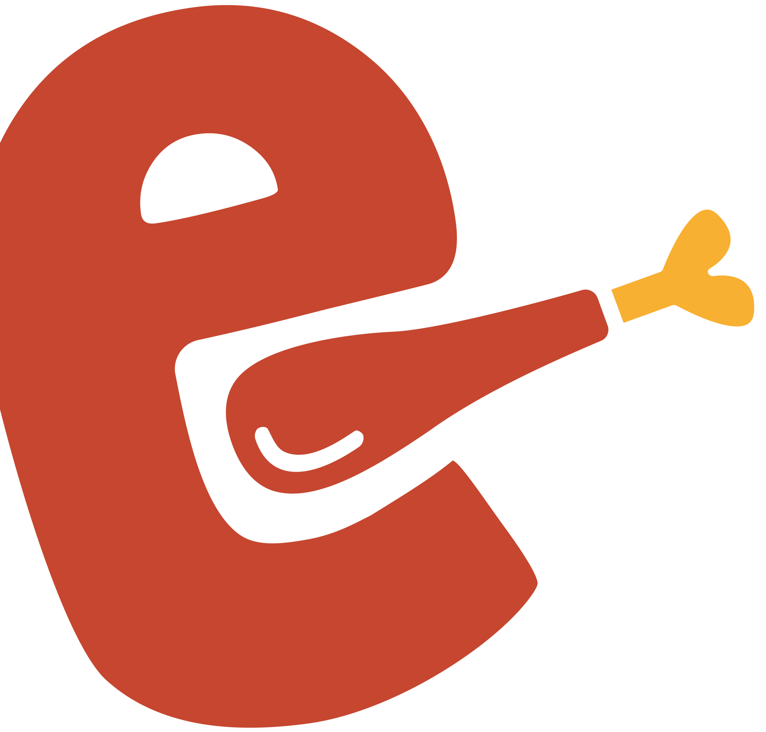 charte graphique agence fluo t'chintché icone