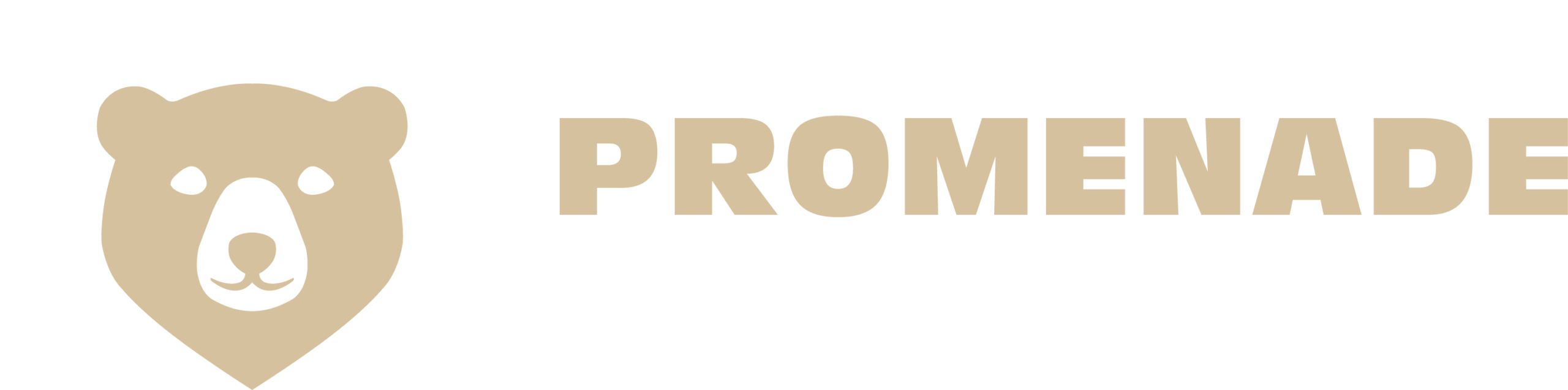 promenade des pyrénées - logo - charte graphique - agence fluo