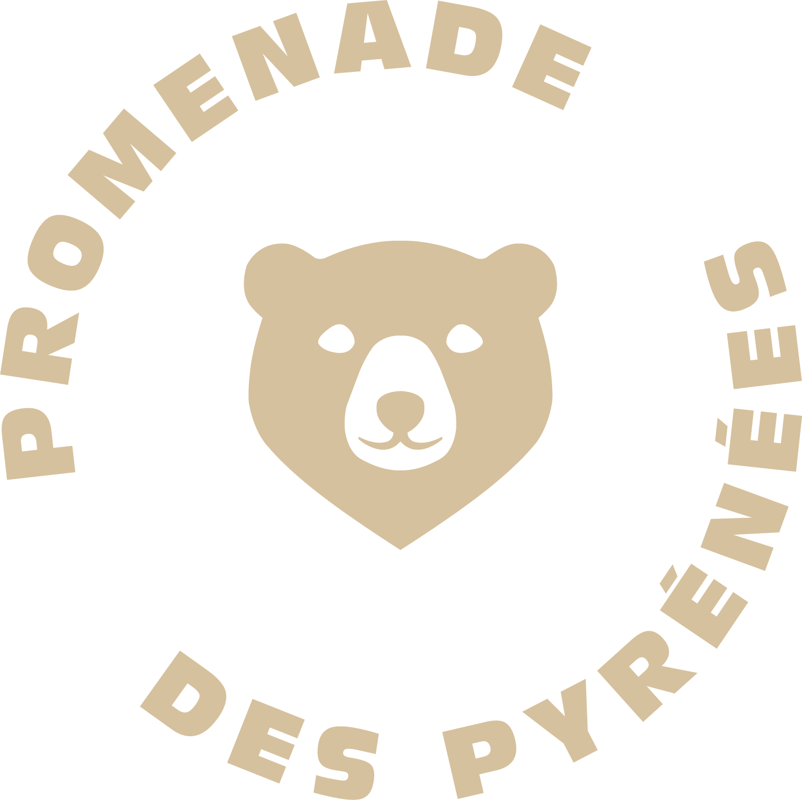 promenade des pyrénées - logo - charte graphique - agence fluo