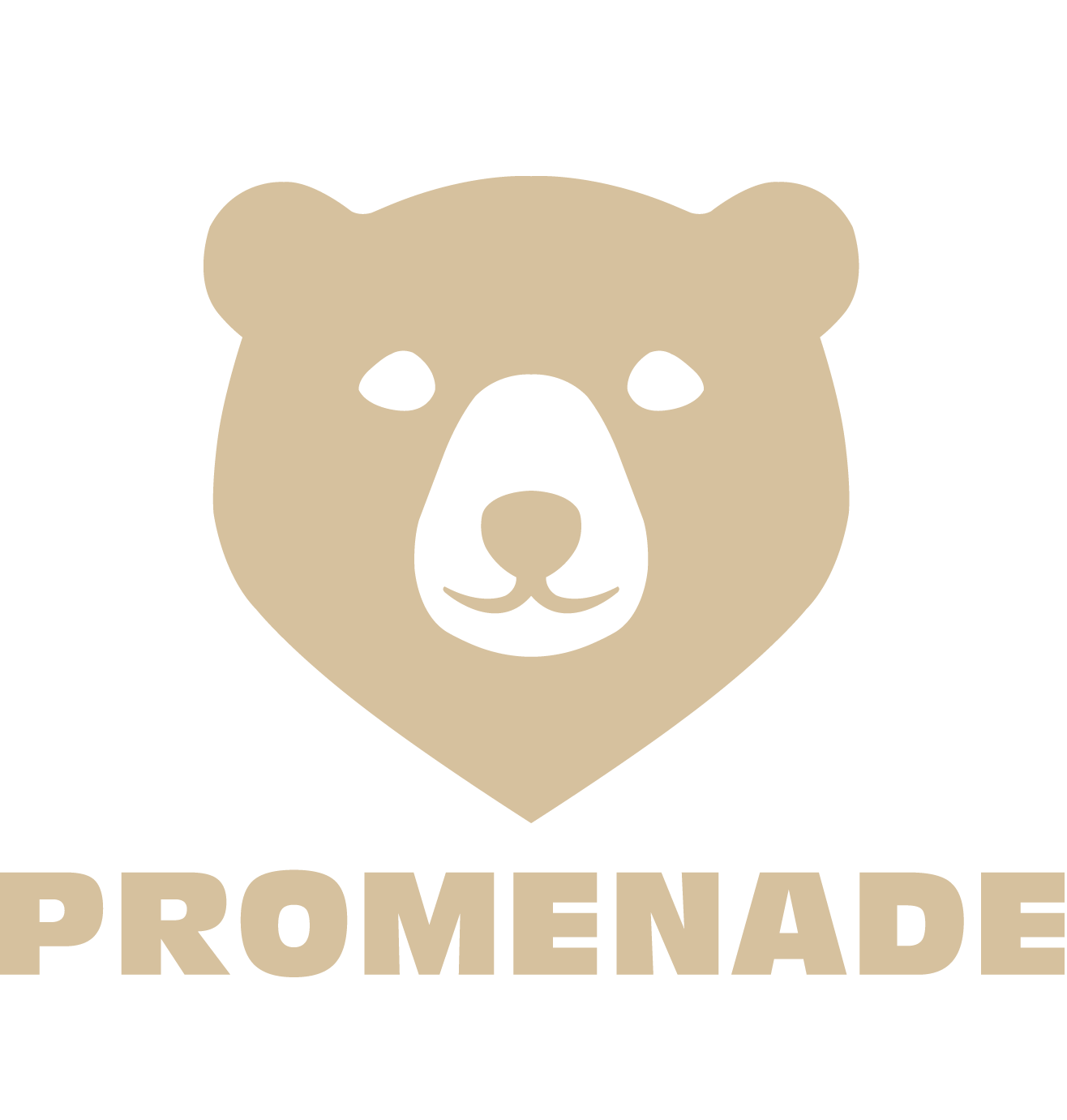 promenade des pyrénées - logo - charte graphique - agence fluo